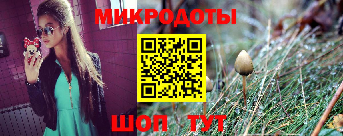 Алапаевск  Псилоцибиновые грибы Psilocybe  Вход с VPN 